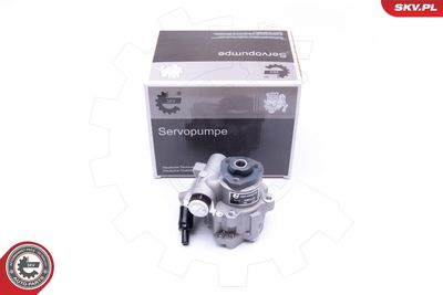 Hydraulic Pump, steering ESEN SKV 10SKV172