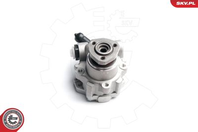 Hydraulic Pump, steering ESEN SKV 10SKV173