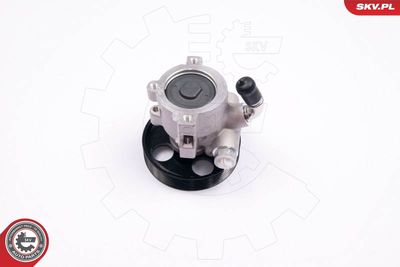 Hydraulic Pump, steering ESEN SKV 10SKV174