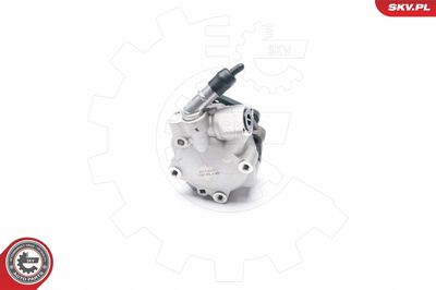 Hydraulic Pump, steering ESEN SKV 10SKV187