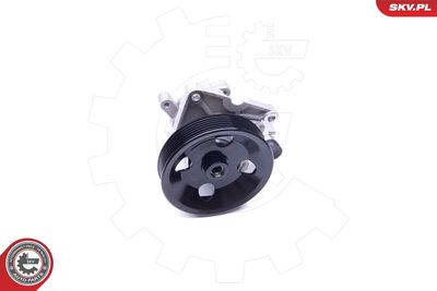 Hydraulic Pump, steering ESEN SKV 10SKV192