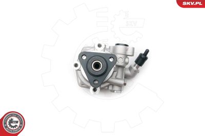 Hydraulic Pump, steering ESEN SKV 10SKV193