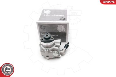 Hydraulic Pump, steering ESEN SKV 10SKV194