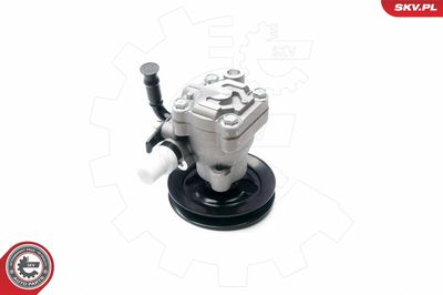 Hydraulic Pump, steering ESEN SKV 10SKV200