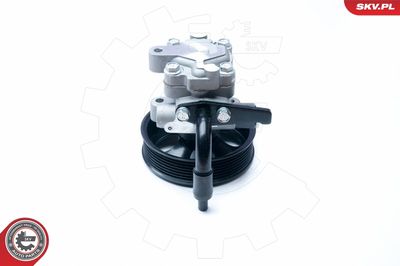 Hydraulic Pump, steering ESEN SKV 10SKV201