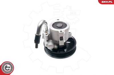 Hydraulic Pump, steering ESEN SKV 10SKV206