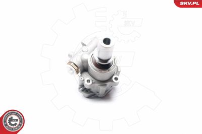 Hydraulic Pump, steering ESEN SKV 10SKV217
