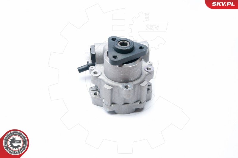 ESEN SKV 10SKV221 Hydraulic Pump, steering