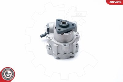 Hydraulic Pump, steering ESEN SKV 10SKV221