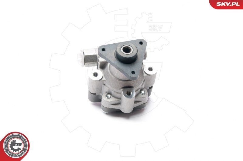 ESEN SKV 10SKV227 Hydraulic Pump, steering