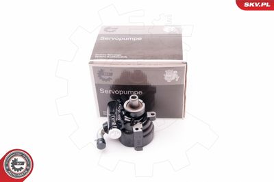Hydraulic Pump, steering ESEN SKV 10SKV229