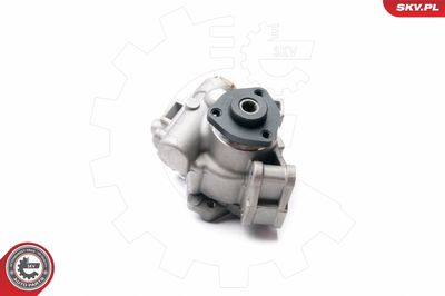 Hydraulic Pump, steering ESEN SKV 10SKV236