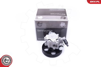 Hydraulic Pump, steering ESEN SKV 10SKV240