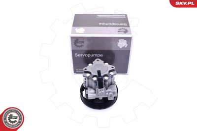 Hydraulic Pump, steering ESEN SKV 10SKV241