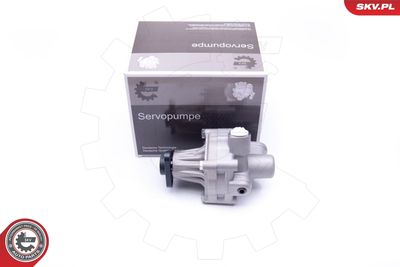 Hydraulic Pump, steering ESEN SKV 10SKV245
