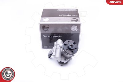 Hydraulic Pump, steering ESEN SKV 10SKV246