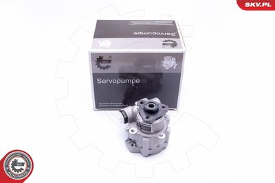 Hydraulic Pump, steering ESEN SKV 10SKV249