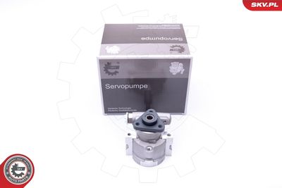 Hydraulic Pump, steering ESEN SKV 10SKV258