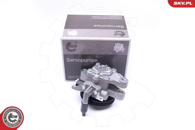 Hydraulic Pump, steering ESEN SKV 10SKV262