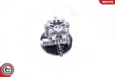 Hydraulic Pump, steering ESEN SKV 10SKV265