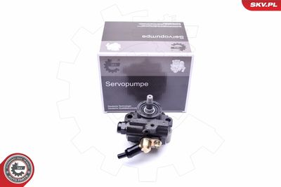 Hydraulic Pump, steering ESEN SKV 10SKV267