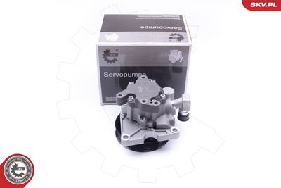 Hydraulic Pump, steering ESEN SKV 10SKV273