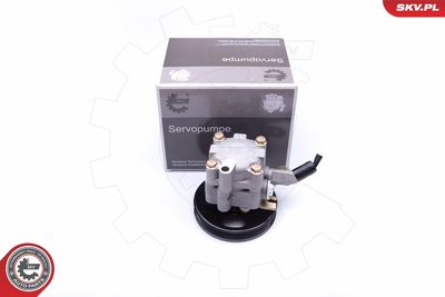 Hydraulic Pump, steering ESEN SKV 10SKV276