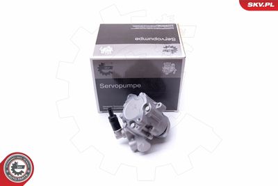 Hydraulic Pump, steering ESEN SKV 10SKV282
