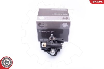 Hydraulic Pump, steering ESEN SKV 10SKV286