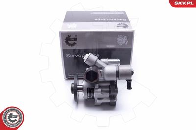 Hydraulic Pump, steering ESEN SKV 10SKV290