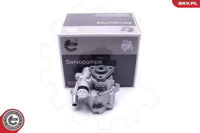 Hydraulic Pump, steering ESEN SKV 10SKV296