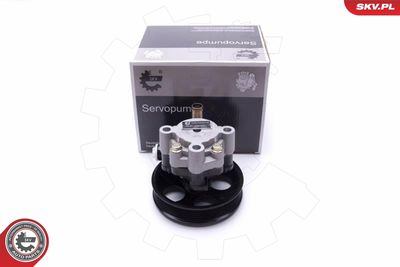 Hydraulic Pump, steering ESEN SKV 10SKV298