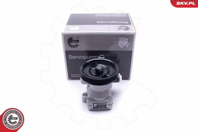 Hydraulic Pump, steering ESEN SKV 10SKV300