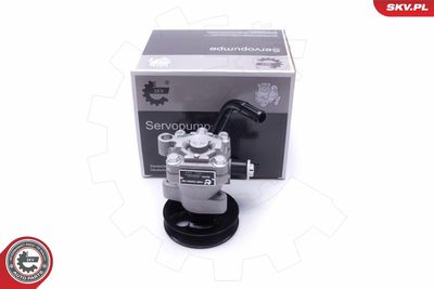 Hydraulic Pump, steering ESEN SKV 10SKV301