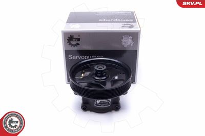 Hydraulic Pump, steering ESEN SKV 10SKV303