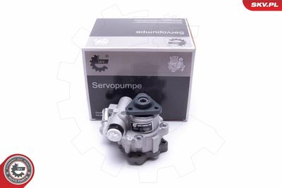 Hydraulic Pump, steering ESEN SKV 10SKV305