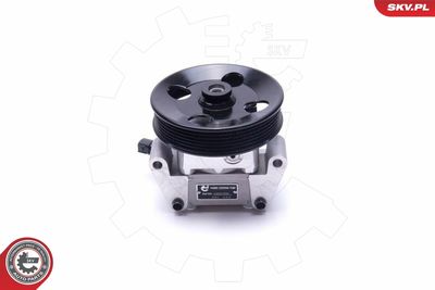 Hydraulic Pump, steering ESEN SKV 10SKV306