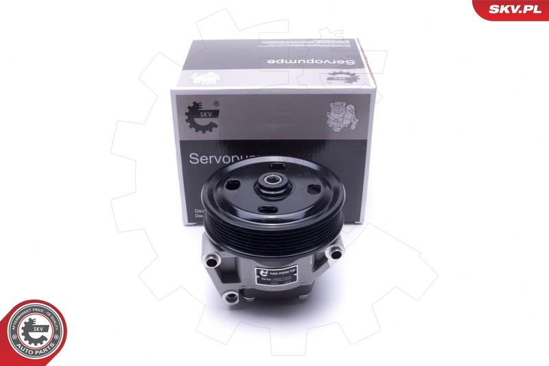 ESEN SKV 10SKV309 Hydraulic Pump, steering