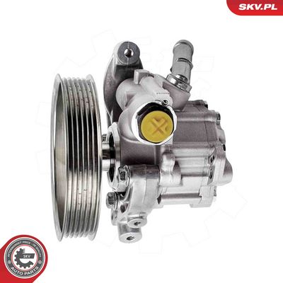 Hydraulic Pump, steering ESEN SKV 10SKV317