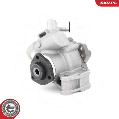 Hydraulic Pump, steering ESEN SKV 10SKV320