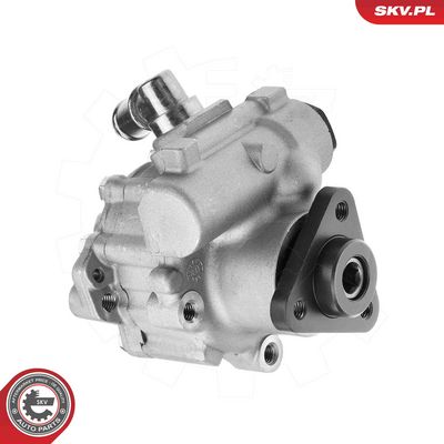 Hydraulic Pump, steering ESEN SKV 10SKV324