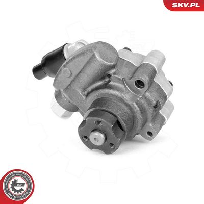 Hydraulic Pump, steering ESEN SKV 10SKV325