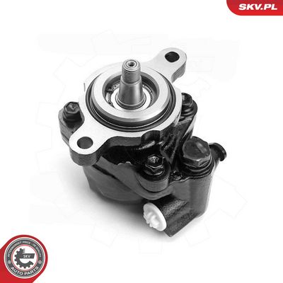 Hydraulic Pump, steering ESEN SKV 10SKV326
