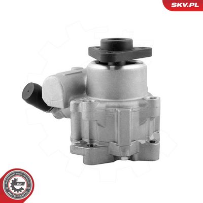 Hydraulic Pump, steering ESEN SKV 10SKV329