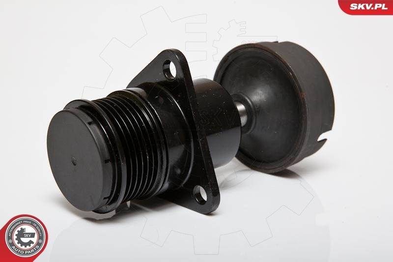 ESEN SKV 11SKV056 Alternator Freewheel Clutch