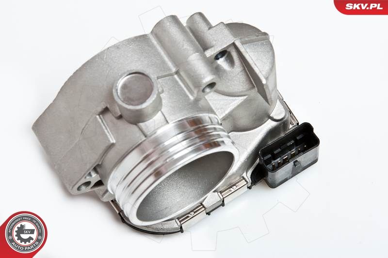 ESEN SKV 12SKV001 Throttle Body