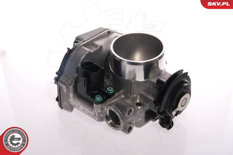 ESEN SKV 12SKV013 Throttle Body