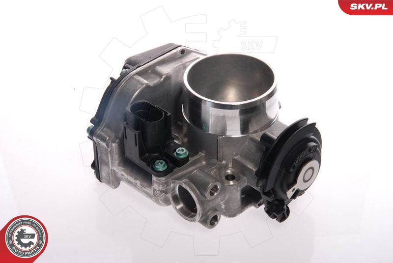 ESEN SKV 12SKV019 Throttle Body