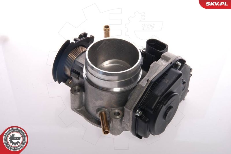 ESEN SKV 12SKV020 Throttle Body