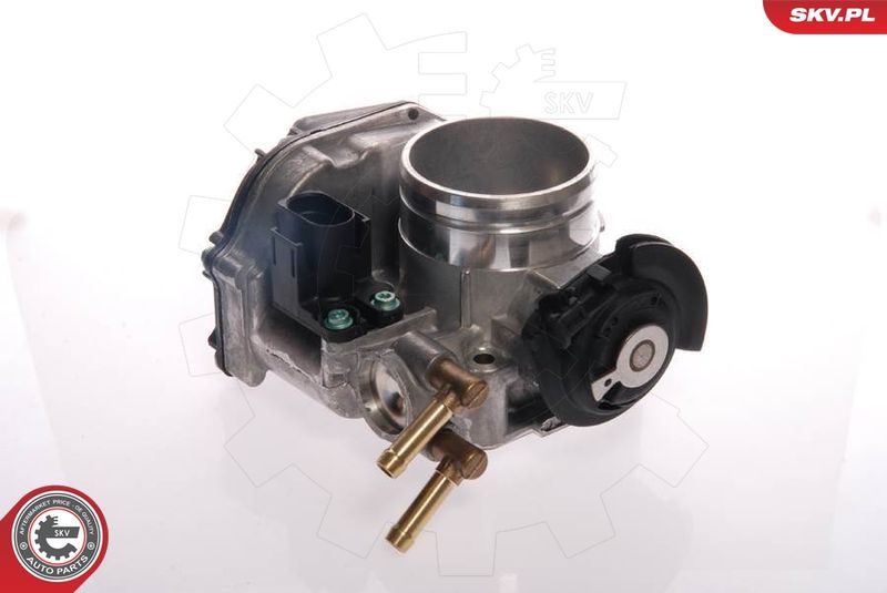 ESEN SKV 12SKV021 Throttle Body